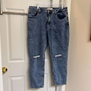 Abercrombie & Fitch Curve Love High Rise Mom Jean Distressed Size 32/14R